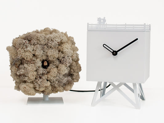 Progetti Wanduhr Birdwatching white/cream