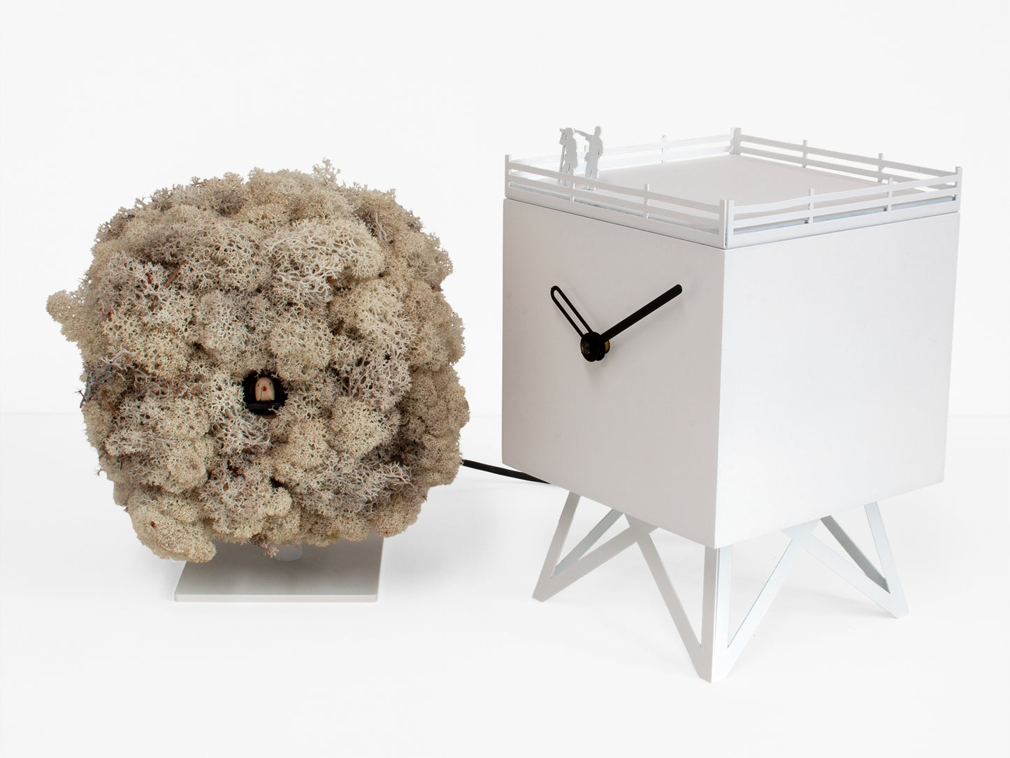 Progetti Wanduhr Birdwatching white/cream